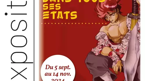 EXPO : LE MANGA DANS TOUS ETATS