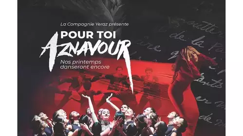 POUR TOI AZNAVOUR